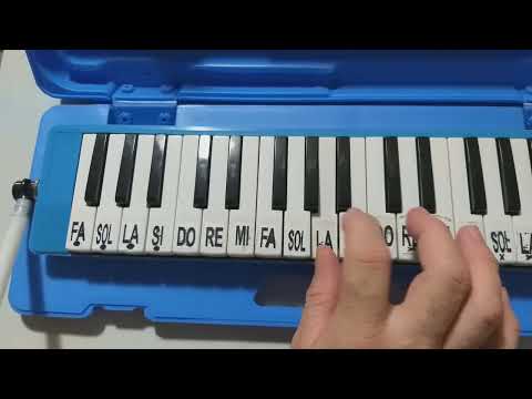 QUÃO GRANDE ÉS TU NA ESCALETA.