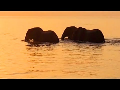 Sail With Elephants Multi-Night Kariba Sail Safaris