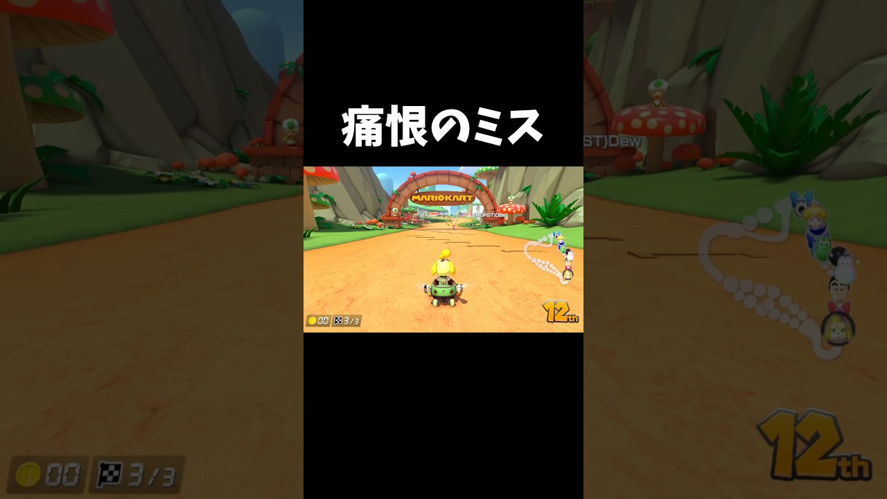 痛恨のミス #マリオカート8dx