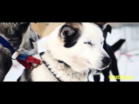 Arbetsbyxor.com - Köp Arbetskläder Online