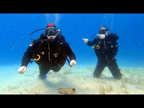 Discover scuba diving in Kalogria