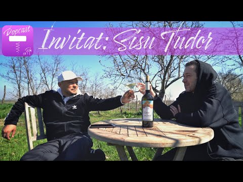 Puya DopCast 🍷 Invitat: Sisu Tudor