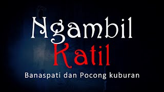 Download lagu NGAMBIL KATIL - Dijagal Banaspati dan Pocong Kuburan | Cerita Horor #1031 Lapak Horor mp3