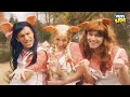 Crazy K3 cover - Q-dj's brengen eigenzinnige versie van 'De 3 Biggetjes'  | 20 jaar K3