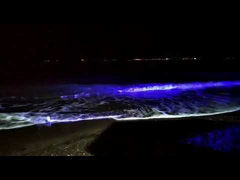 Gece Levrek Avı, Duo Tide Minnow 75 Sprint gigo