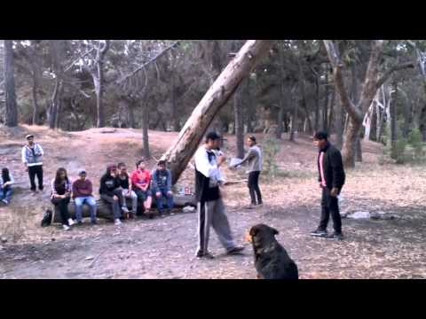 Battle Rapthor - Nanok vs Individuo   Semifinal