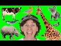A To Z Alphabet Animals Chant Part 2 With Matt Learn Animals Names Alphabet For Kids
