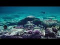 underwater scene 2 5d iclone7 and after effects