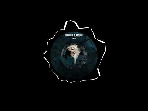 Heerhorst, Slin Bourgh - Exercise 1 (Devid Dega Remix)