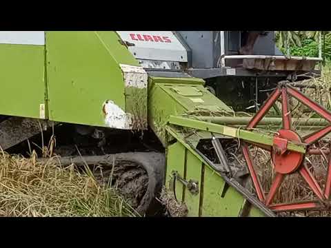 class 3D ❤️harvester  mission❤️cutting. new video