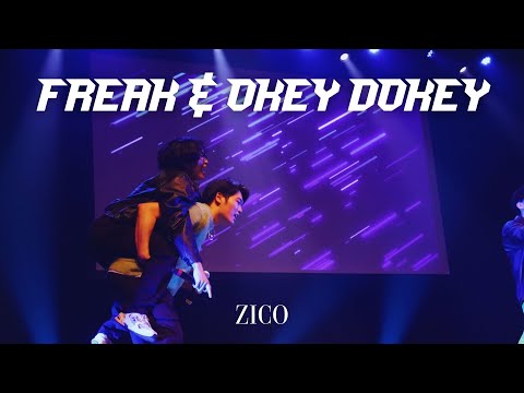 ZICO - Freak x Okey Dokey [LIVE COVER] | Hallyu XV