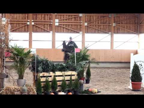 HORSESHIP Ferrero *for sale*