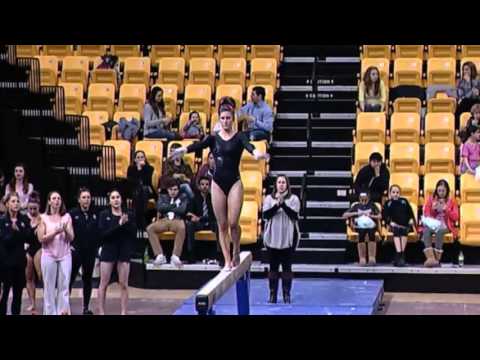 B. Steffen, Towson BB (2-26-16)