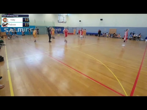 Viby Basket F02 - Falcon
