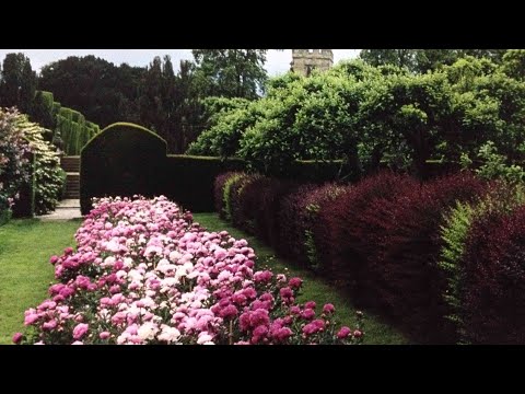 A World Without Love by Peter and Gordon (1964)