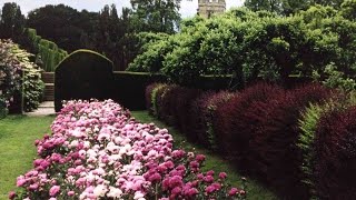 A World Without Love by Peter and Gordon (1964)