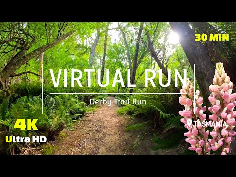 Virtual Running Videos for Treadmill - Virtual Run 4K - Valley Ponds - Scenery Tasmania Treadmill