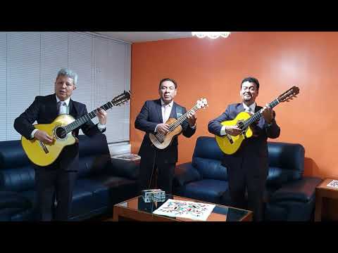 Trío Los Semejantes, Rayito de Luna.