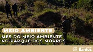 Meio Ambiente - Mês do Meio Ambiente no Parque dos Morros