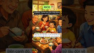 LUYỆN NGHE TIẾNG ANH GIAO TIẾP LEVEL A2/B1 - RICE - DAILY ENGLISH PODCAST #luyennghetienganh