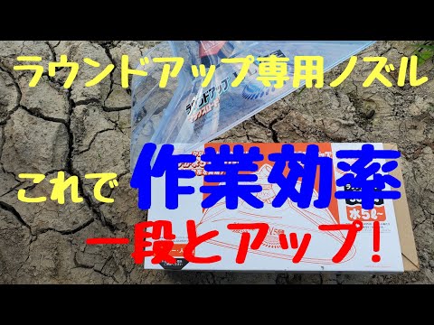 ラウンドアップに代わる除草剤はどれ？環境に優しく効果的な 10 のオプション  庭園