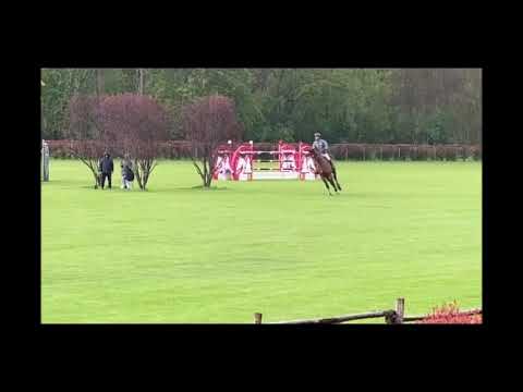 Riccardo Pisani & Chaclot (Chacco-Blue x Fly High I) 24.04.2022