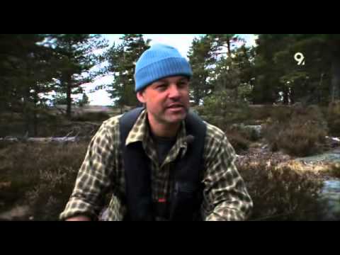 Sjön Suger - S01E05 - Henrik Schyffert