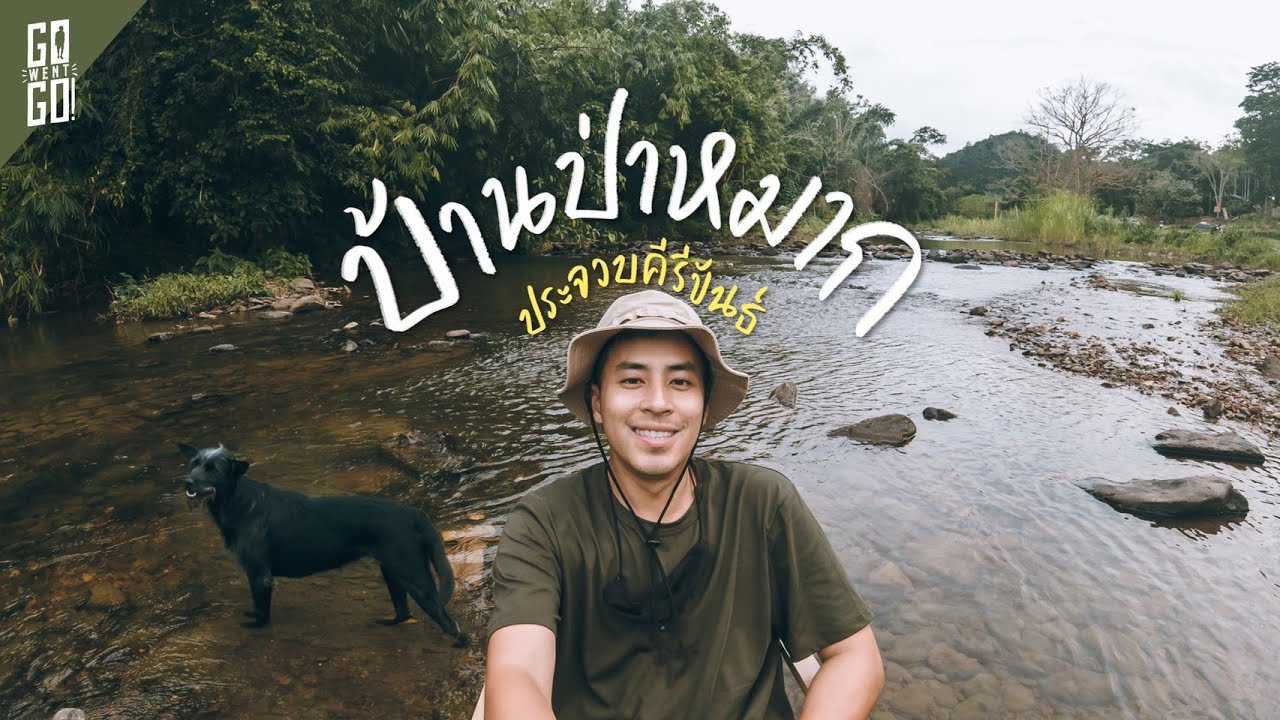 บ้านป่าหมาก