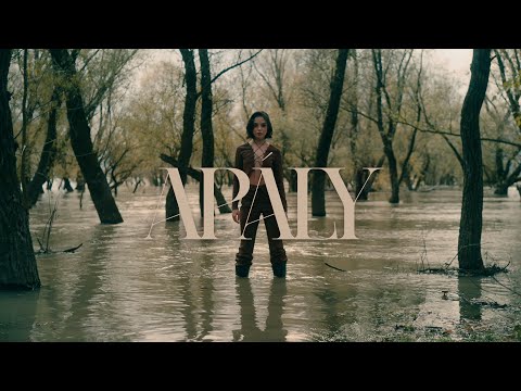 DESH - Apály on Spotify Charts