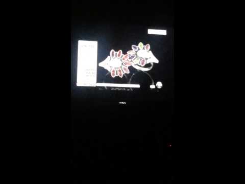 Nicky Butler HSN Shopping Network laugh