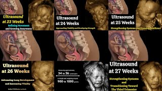 Download lagu Pregnancy Ultrasound at 6 Months (Weeks 23–27) | Advancing Maturation and Early Functional Readiness mp3 Download lagu Pregnancy Ultrasound at 6 Months (Weeks 23–27) | Advancing Maturation and Early Functional Readiness mp3