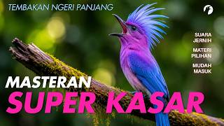 Download lagu MASTERAN GACOR TEMBAKAN KASAR PANJANG SUPER MEWAH COCOK UNTUK MURAI BATU DAN SEMUA JENIS BURUNG mp3