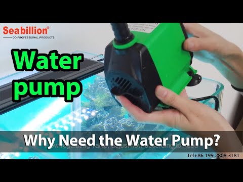 Small Aquarium Fish Tank Water Change Pump | Seabillion