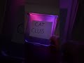 Çat Club Viral Catshorts Shorts Cats Catclub