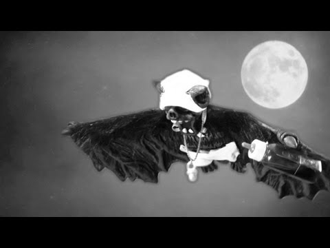 Fred Schneider & the Superions - Batbaby (Official Music Video)