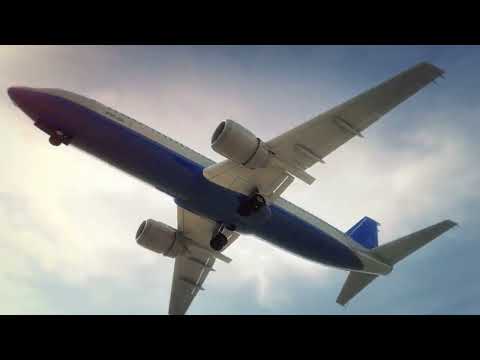 De l'australopithèque à l'humain moderne : L'Incroyable Voyage de l'Évolution Humaine