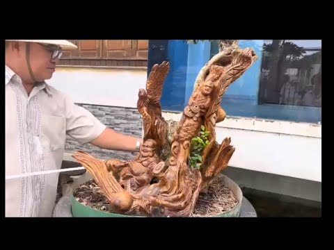 SH.6357. Trắc bonsai tạc tượng Di Lạc đẹp quá. Đth liên hệ 0913.970.855.
