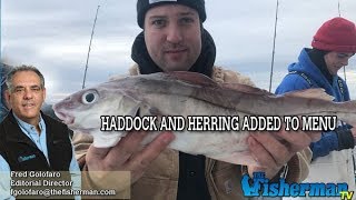 December 6, 2018 Long Island Metro Fishing Report with Fred Golofaro