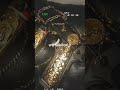 Dollar Sabi Bhinder Song New