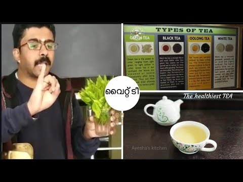 White Tea || Different types of Tea / Ootty Tea Factory Visit  / Oolong Tea / Green Tea Video