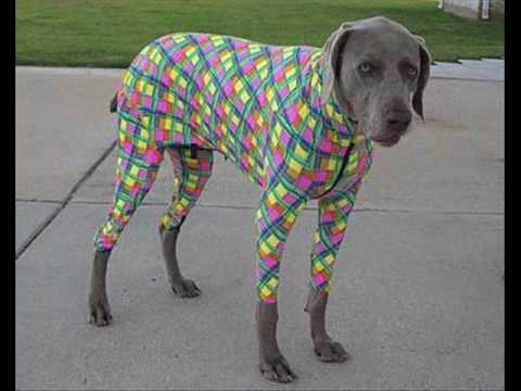 Erick Morillo & Eric Prydz - Dancing