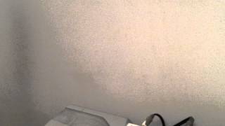 Bjørn alene med Medina