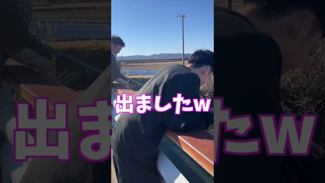 ジグでコイ釣ったどー！ #shorts  #釣り #家族