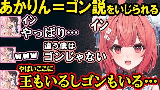 あかりんっぽいキャラを選ぶなずぴに納得がいかないあかりん、あかりん＝ゴン説をいじるべにとひなーの、初リーシンとシンジドで魂のチャンプを見つけてしまうあかりん【夢野あかり/ぶいすぽ/切り抜き】