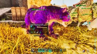 ARK 雑にやる
