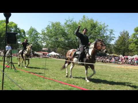 Hero Merkel & Spiritus Lupus Rittershow MPS Speyer 2016 Vorbeiritt