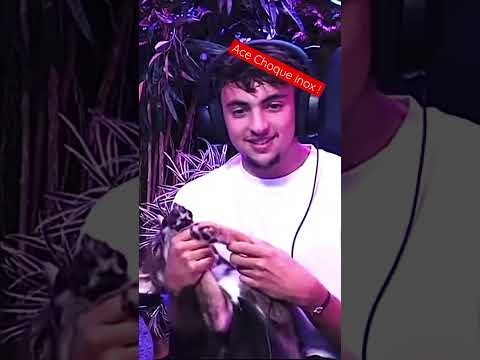 Ace Choque Inoxtag ! 😨 #inoxtag #elsa #michou #youtube #andrea #video #viral #gmk #date #police