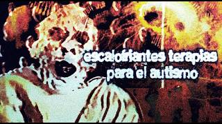Escalofriantes terapias para el autismo (real)
