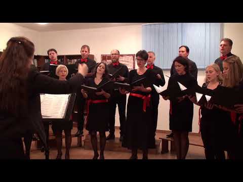 Mešani pevski zbor sv. Urh - Oj planine