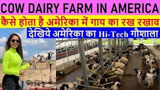 Dairy Farm In USA | America में डेरी फार्म | COW DAIRY FARM JOB in America|Cow Dairy Farm in America